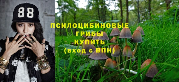 гидра Белоозёрский