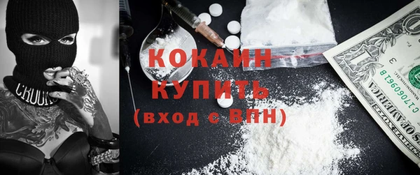 PSILOCYBIN Белокуриха