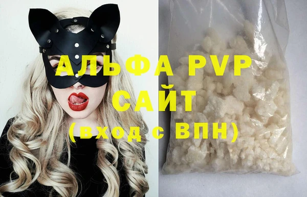 PSILOCYBIN Белокуриха
