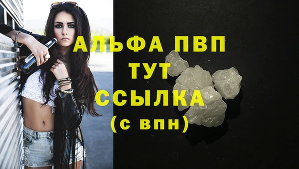 гидра Белоозёрский